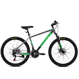 CAPRIOLO "MTB STONE 26""/21HT SIVO-ZELENO" ZA DEČAKE