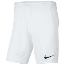 NIKE SORTS Y NK DF PARK III SHORT NB K ZA DEČAKE