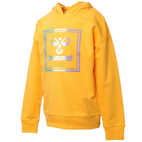 HUMMEL DUKS HMLLEIDEN HOODIE ZA DEČAKE