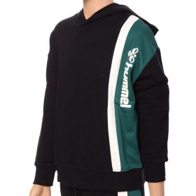 DUKS HMLGRAYSON HOODIE