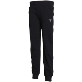 HUMMEL TRENERKA D.D. HMLFELINOS PANTS ZA DEČAKE