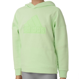 ADIDAS DUKS U FI LOGO HD SEGRSP/GRESPA ZA DEČAKE